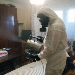 Дезинфекция от клопов в Рождествено