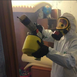 Уничтожение клопов в квартире. Рождествено